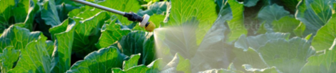 Advantages of Liquid Fertilizers 3